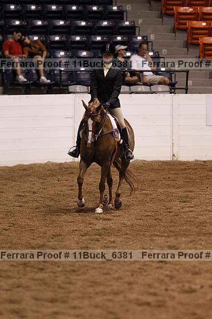 Proof Number 11buck_6381