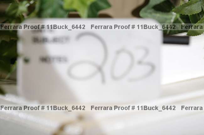 Proof Number 11buck_6442