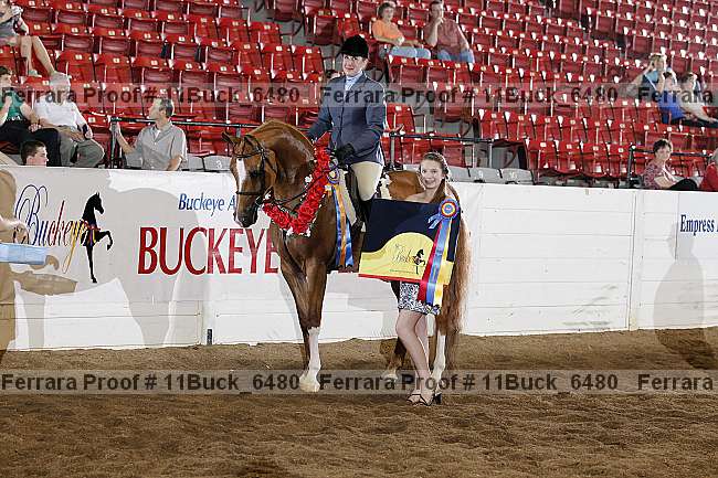 Proof Number 11buck_6480