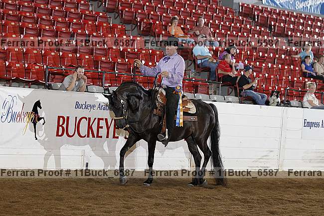Proof Number 11buck_6587