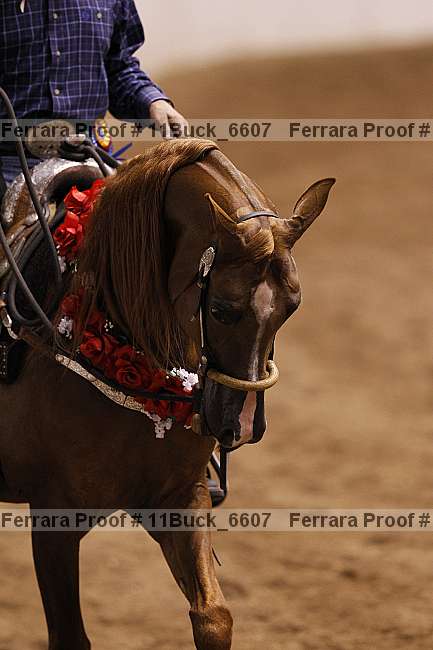 Proof Number 11buck_6607
