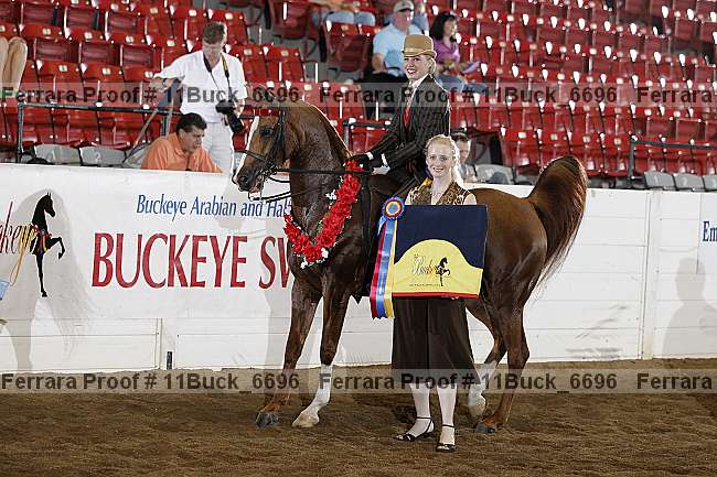 Proof Number 11buck_6696