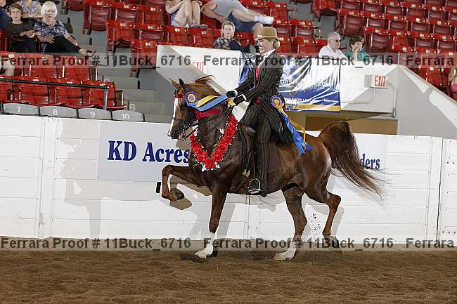 Proof Number 11buck_6716
