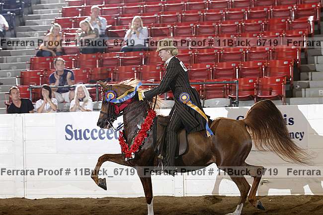 Proof Number 11buck_6719