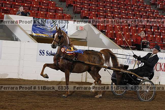 Proof Number 11buck_6836