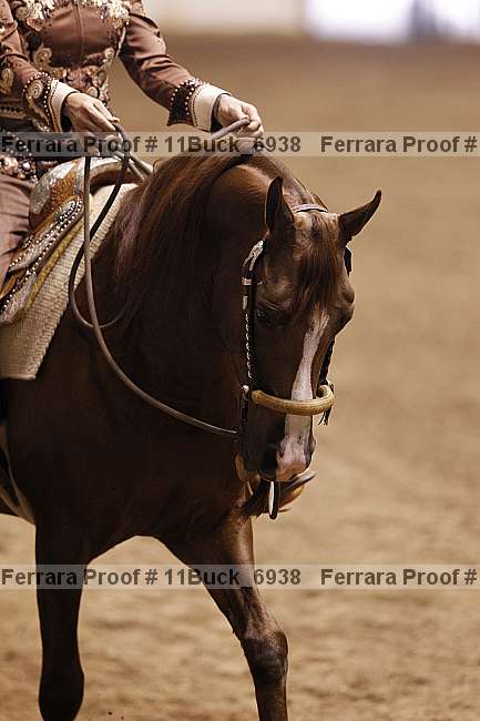 Proof Number 11buck_6938