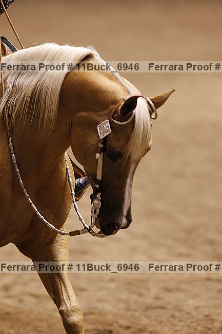 Proof Number 11buck_6946