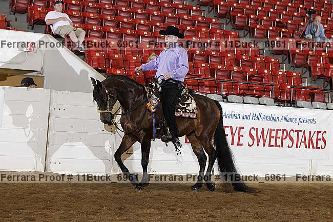 Proof Number 11buck_6961
