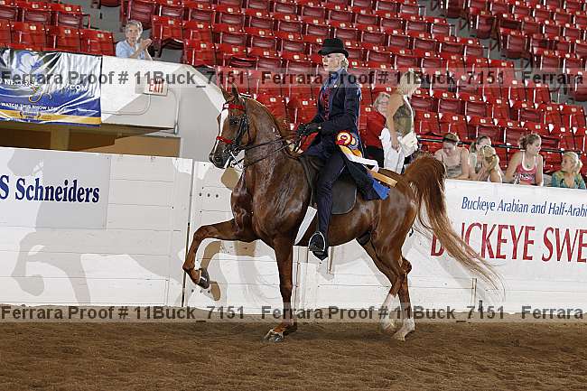 Proof Number 11buck_7151
