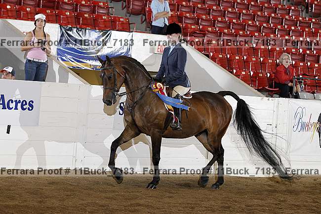Proof Number 11buck_7183