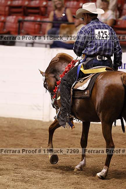Proof Number 11buck_7299