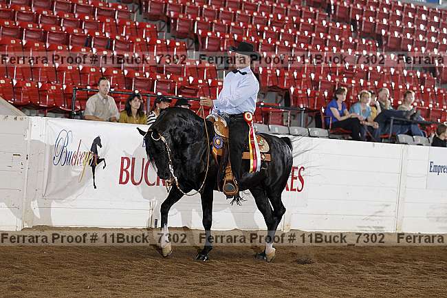 Proof Number 11buck_7302