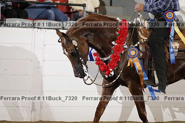 Proof Number 11buck_7320