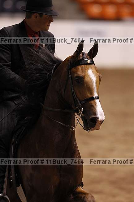 Proof Number 11buck_7464