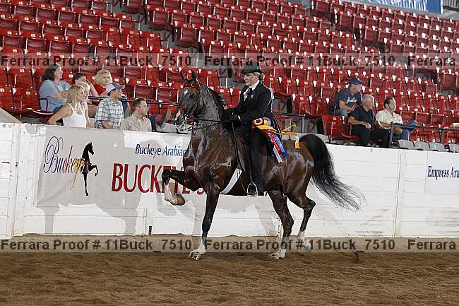 Proof Number 11buck_7510