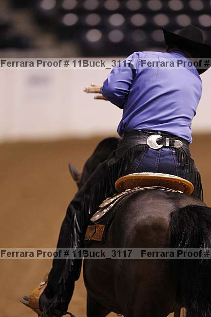 Proof Number 11buck_3117