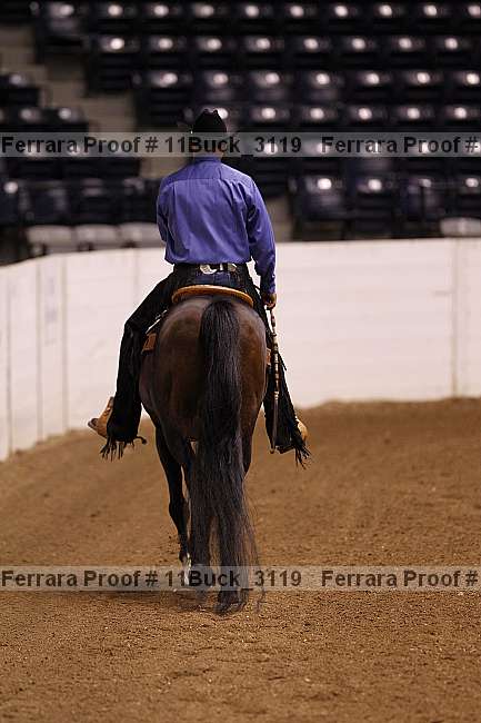 Proof Number 11buck_3119