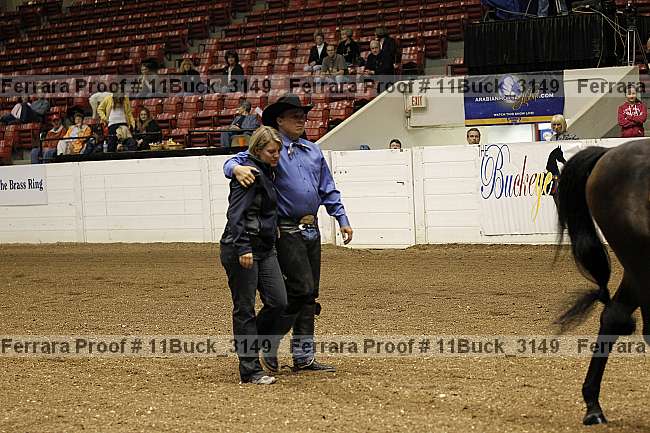 Proof Number 11buck_3149