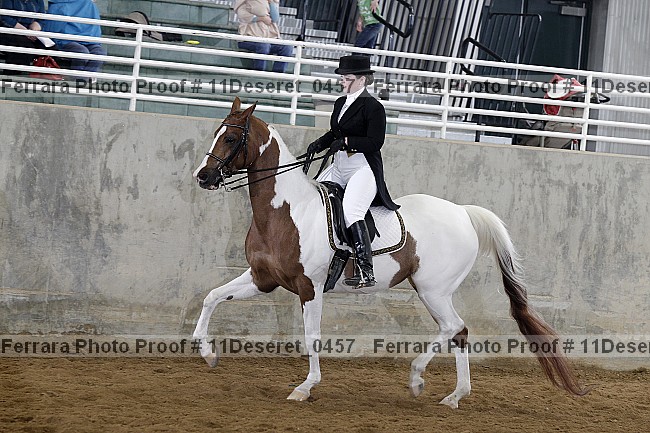 Proof Number 11deseret_0457