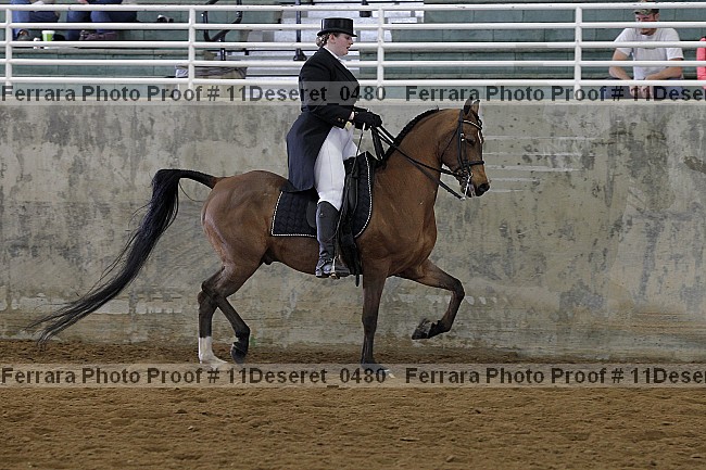 Proof Number 11deseret_0480