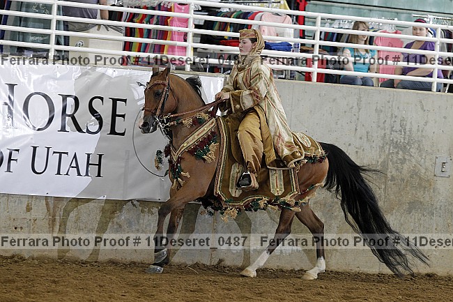 Proof Number 11deseret_0487