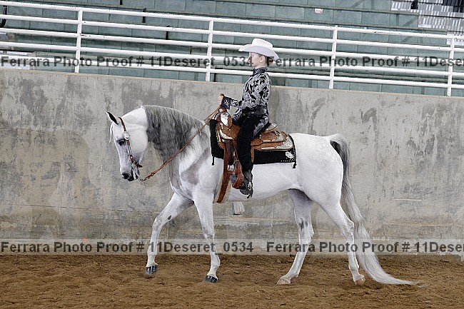 Proof Number 11deseret_0534