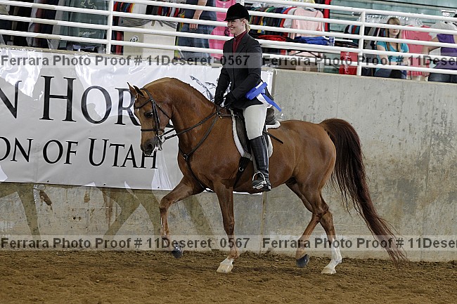 Proof Number 11deseret_0567
