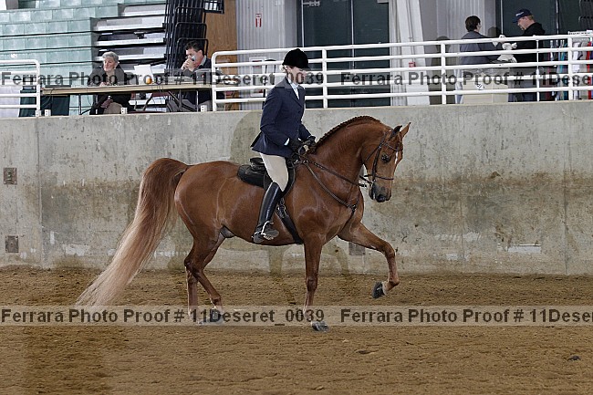 Proof Number 11deseret_0039