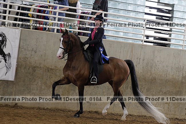Proof Number 11deseret_0104