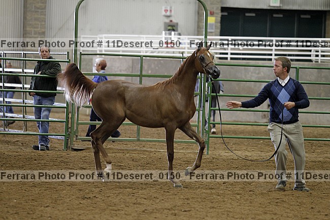 Proof Number 11deseret_0150
