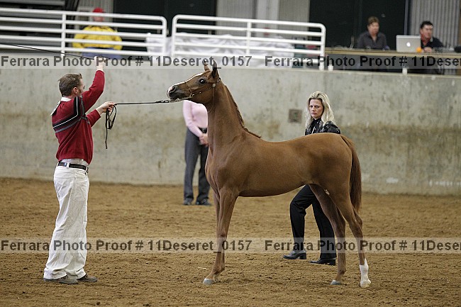 Proof Number 11deseret_0157