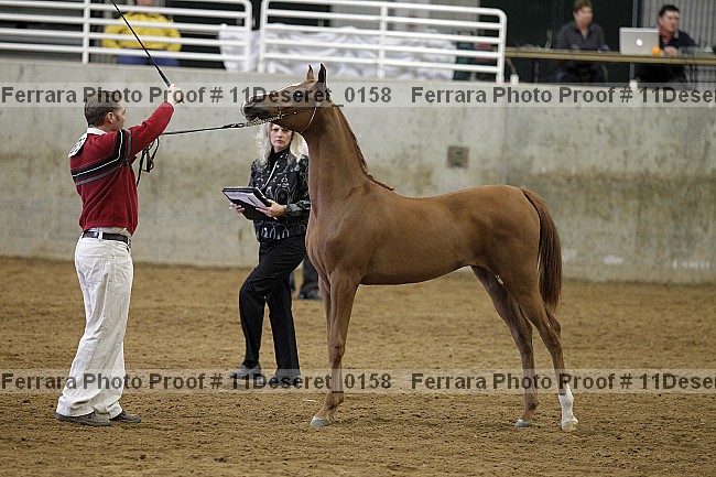 Proof Number 11deseret_0158