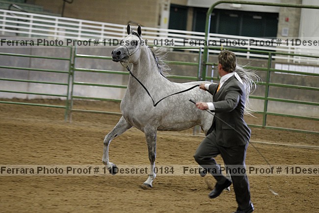 Proof Number 11deseret_0184