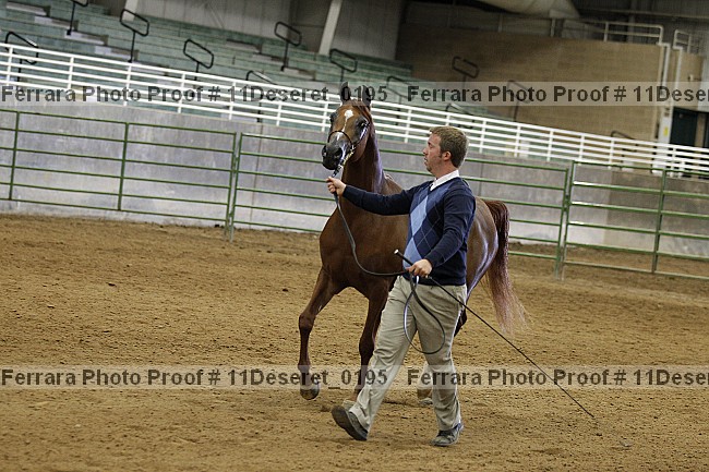 Proof Number 11deseret_0195