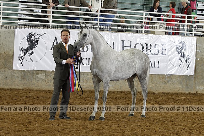 Proof Number 11deseret_0209