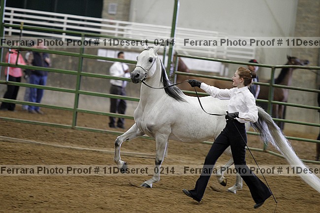 Proof Number 11deseret_0214