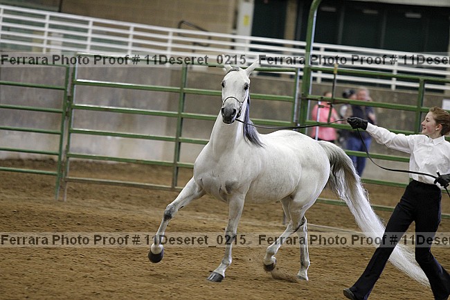 Proof Number 11deseret_0215