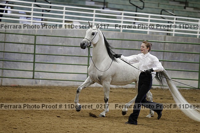 Proof Number 11deseret_0217