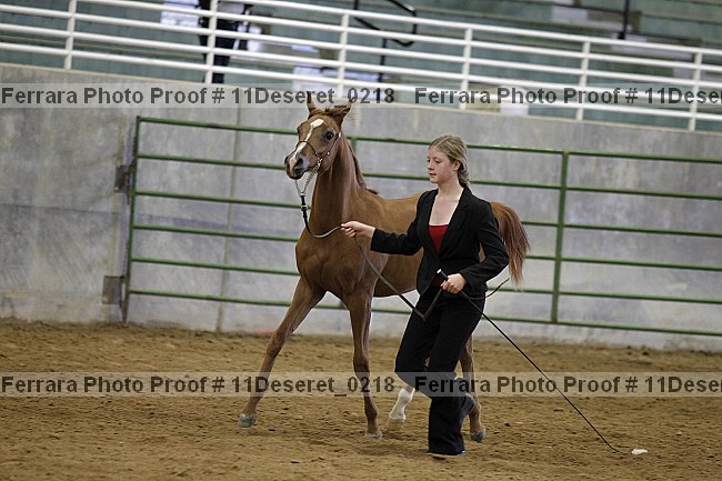 Proof Number 11deseret_0218