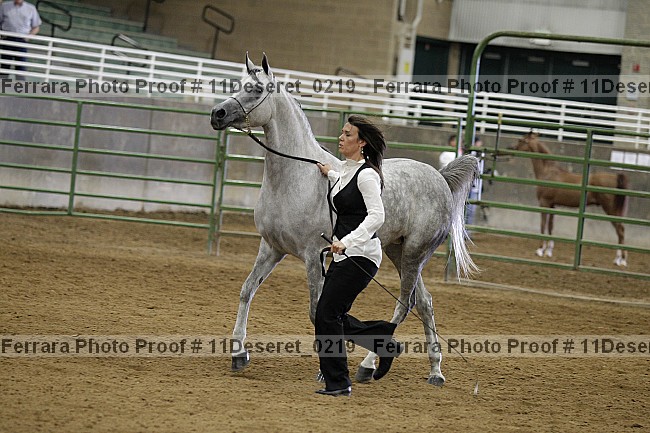 Proof Number 11deseret_0219