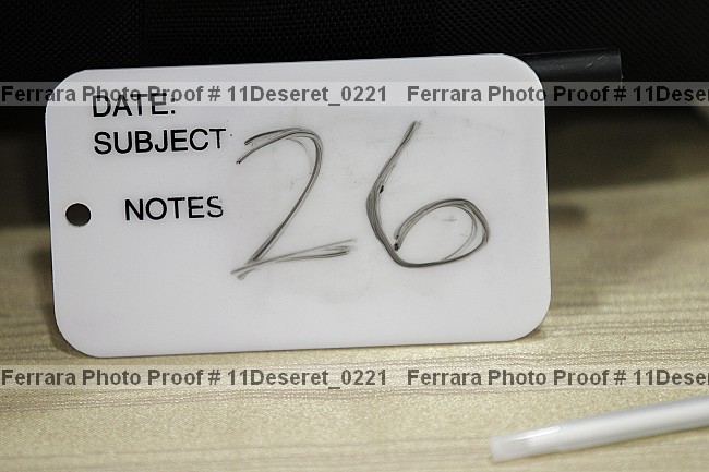 Proof Number 11deseret_0221
