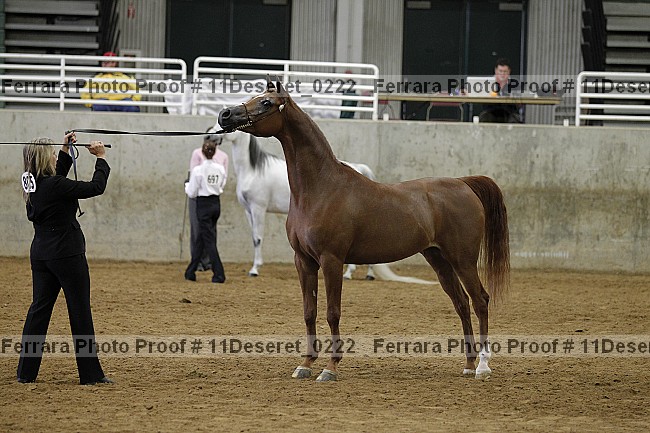 Proof Number 11deseret_0222