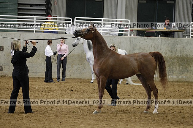 Proof Number 11deseret_0223
