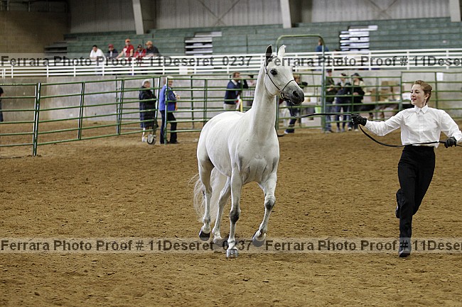 Proof Number 11deseret_0237