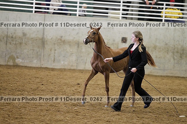 Proof Number 11deseret_0242