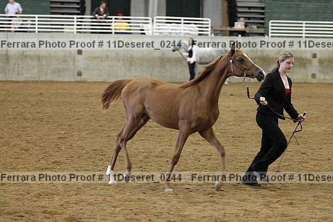 Proof Number 11deseret_0244