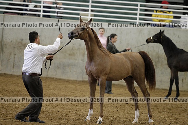 Proof Number 11deseret_0261