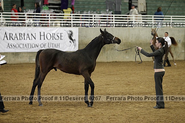 Proof Number 11deseret_0267