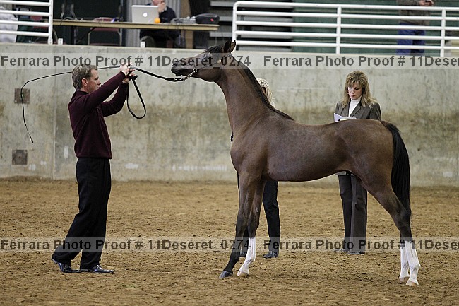 Proof Number 11deseret_0274