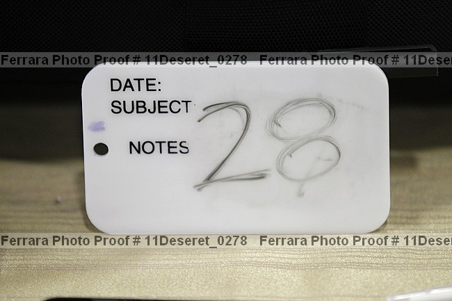 Proof Number 11deseret_0278